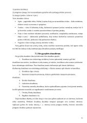 Draudimo bendrovių veikla 10 puslapis