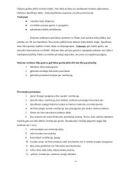 Gaisro ir sprogimo pavojaus technologiniuose procesuose įvertinimas 12 puslapis