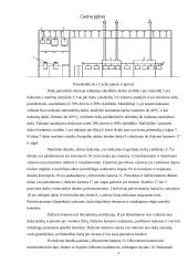 Gaisro ir sprogimo pavojaus technologiniuose procesuose įvertinimas 6 puslapis