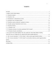 Gyventojų turto draudimas 2 puslapis