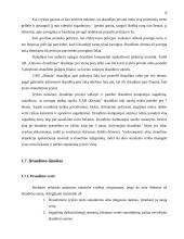 Gyventojų turto draudimas 16 puslapis