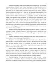 Gyventojų turto draudimas 17 puslapis