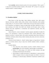 Gyventojų turto draudimas 4 puslapis