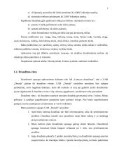 Gyventojų turto draudimas 6 puslapis