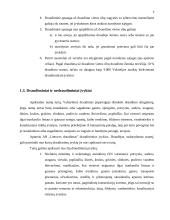 Gyventojų turto draudimas 8 puslapis