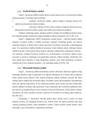 Horizontalioji bei vertikalioji analizė, jos rezultatų vertinimas bei pateikimas 12 puslapis