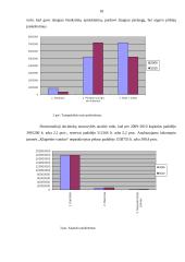 Horizontalioji bei vertikalioji analizė, jos rezultatų vertinimas bei pateikimas 18 puslapis