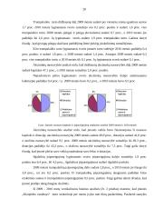 Horizontalioji bei vertikalioji analizė, jos rezultatų vertinimas bei pateikimas 20 puslapis