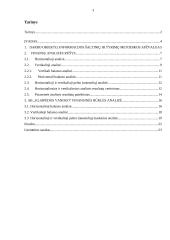 Horizontalioji bei vertikalioji analizė, jos rezultatų vertinimas bei pateikimas 3 puslapis