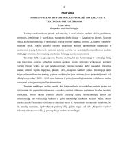 Horizontalioji bei vertikalioji analizė, jos rezultatų vertinimas bei pateikimas 4 puslapis