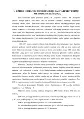 Horizontalioji bei vertikalioji analizė, jos rezultatų vertinimas bei pateikimas 6 puslapis