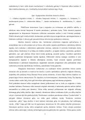 Ikispausdiminė įranga 4 puslapis