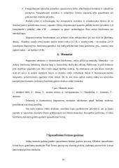 Ikispausdiminė įranga 9 puslapis