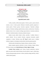 Konkurentų rinkos tyrimas 4 puslapis