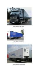 Krovinių vežimų organizavimas kelių transportu tarptautiniais maršrutais: UAB "Vežys" 12 puslapis