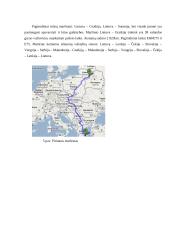 Krovinių vežimų organizavimas kelių transportu tarptautiniais maršrutais: UAB "Vežys" 14 puslapis