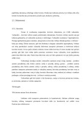 Krovinių vežimų organizavimas kelių transportu tarptautiniais maršrutais: UAB "Vežys" 16 puslapis