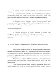 Krovinių vežimų organizavimas kelių transportu tarptautiniais maršrutais: UAB "Vežys" 20 puslapis