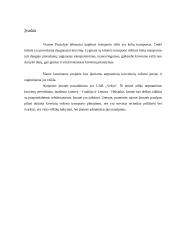 Krovinių vežimų organizavimas kelių transportu tarptautiniais maršrutais: UAB "Vežys" 4 puslapis