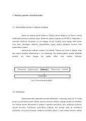 Krovinių vežimų organizavimas kelių transportu tarptautiniais maršrutais: UAB "Vežys" 5 puslapis