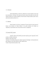 Krovinių vežimų organizavimas kelių transportu tarptautiniais maršrutais: UAB "Vežys" 8 puslapis