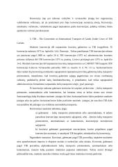 Krovinių vežimų organizavimas kelių transportu tarptautiniais maršrutais: UAB "Vežys" 10 puslapis