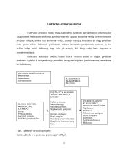 Lyderio esmė bei vaidmuo organizacijoje 12 puslapis