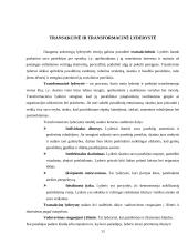 Lyderio esmė bei vaidmuo organizacijoje 13 puslapis