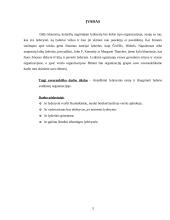 Lyderio esmė bei vaidmuo organizacijoje 3 puslapis