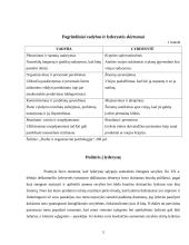 Lyderio esmė bei vaidmuo organizacijoje 5 puslapis