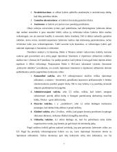 Lyderio esmė bei vaidmuo organizacijoje 7 puslapis