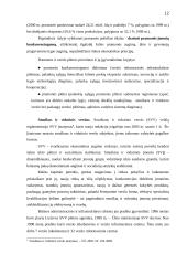 Lietuvos ūkio analizė 12 puslapis
