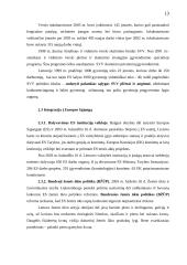 Lietuvos ūkio analizė 13 puslapis