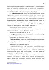 Lietuvos ūkio analizė 16 puslapis