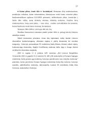 Lietuvos ūkio analizė 17 puslapis