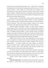Lietuvos ūkio analizė 19 puslapis