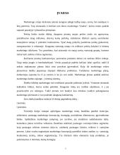 Marketingas įmonėje 2 puslapis