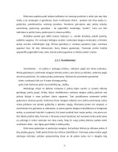 Marketingas įmonėje 12 puslapis