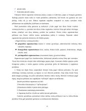 Marketingas įmonėje 10 puslapis