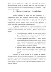 Mokytojas savo ir mokinių akimis 15 puslapis