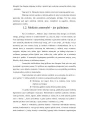 Mokytojas savo ir mokinių akimis 17 puslapis