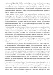 Mokytojų ir mokinių-paauglių efektyvus bendravimas 15 puslapis