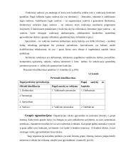 Veiksniai lemiantys organizacijos vidinę ir išorinę aplinką 13 puslapis