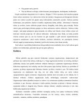 Veiksniai lemiantys organizacijos vidinę ir išorinę aplinką 15 puslapis