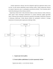 Veiksniai lemiantys organizacijos vidinę ir išorinę aplinką 17 puslapis