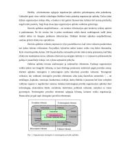 Veiksniai lemiantys organizacijos vidinę ir išorinę aplinką 19 puslapis