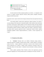 Veiksniai lemiantys organizacijos vidinę ir išorinę aplinką 20 puslapis