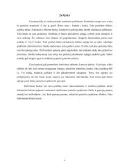 Paskolos ir jų tipai 2 puslapis