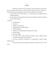 Pelno nesiekiančių organizacijų registravimas 3 puslapis