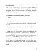 Pramogų parkų istorija ir tipai 14 puslapis